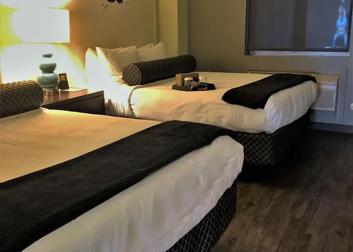 Acme Chicago, Outset Collection By Hilton 4*